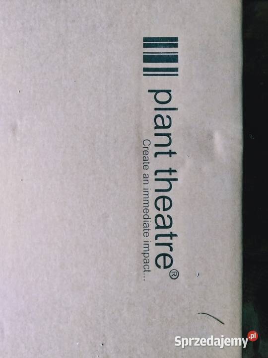 akacjowy stolik kawowy lite drewno akacja Plant Zamość