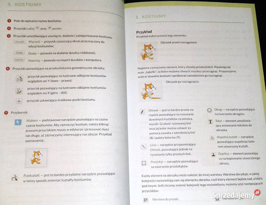 Młodzi giganci programowania Scratch Radosław Pozostałe