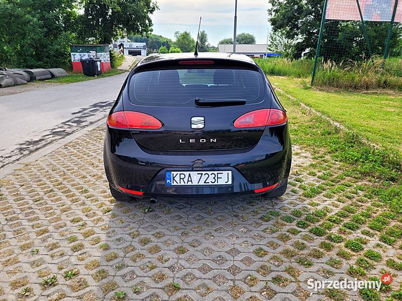 Stary niezawodny LEON małopolskie