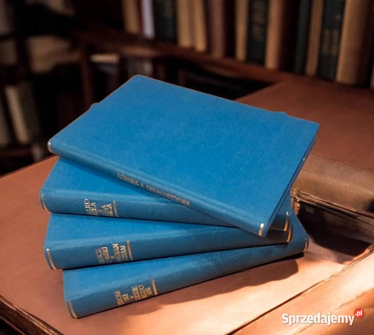 Książki Zestaw Literatura łódzkie Łódź