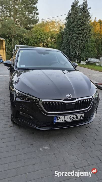 Skoda Scala 10 TSI 110 dolnośląskie Lutynia