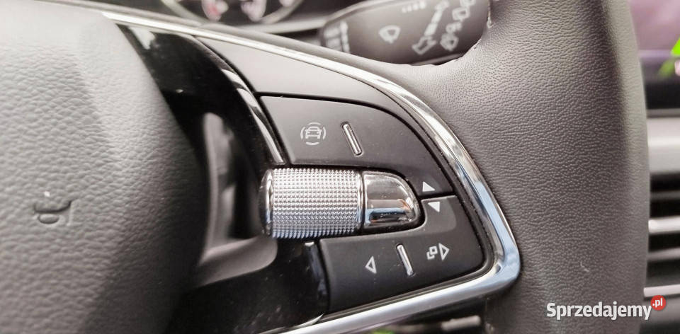 Skoda Scala Krajowa DSG serwis ASO Dąbrowa Górnicza