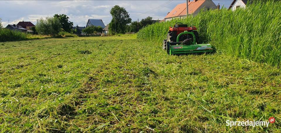 USŁUGA Glebogryzarka separacyjna Koszenie trawy Gorzów Wielkopolski ogród