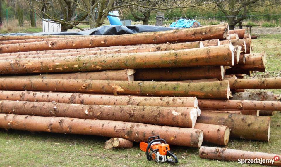 Drewno świerkowe Chocianów