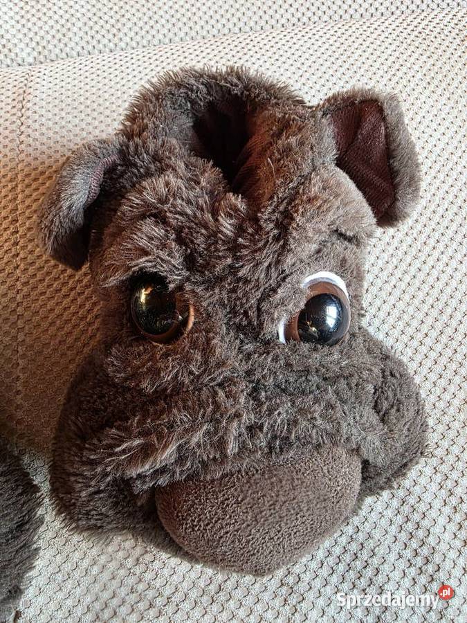 ciepłe kapcie pieski w rozmiarze 3839 Kraków