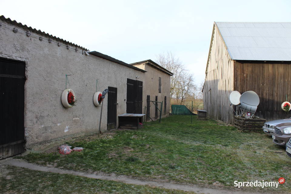 Siedlisko w Silcu dom jednorodzinny na sprzedaż węglowe Sprzedaż warmińsko-mazurskie Silec