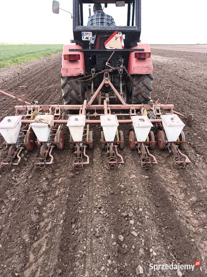 Siewnik do burakow zachodniopomorskie Barnim