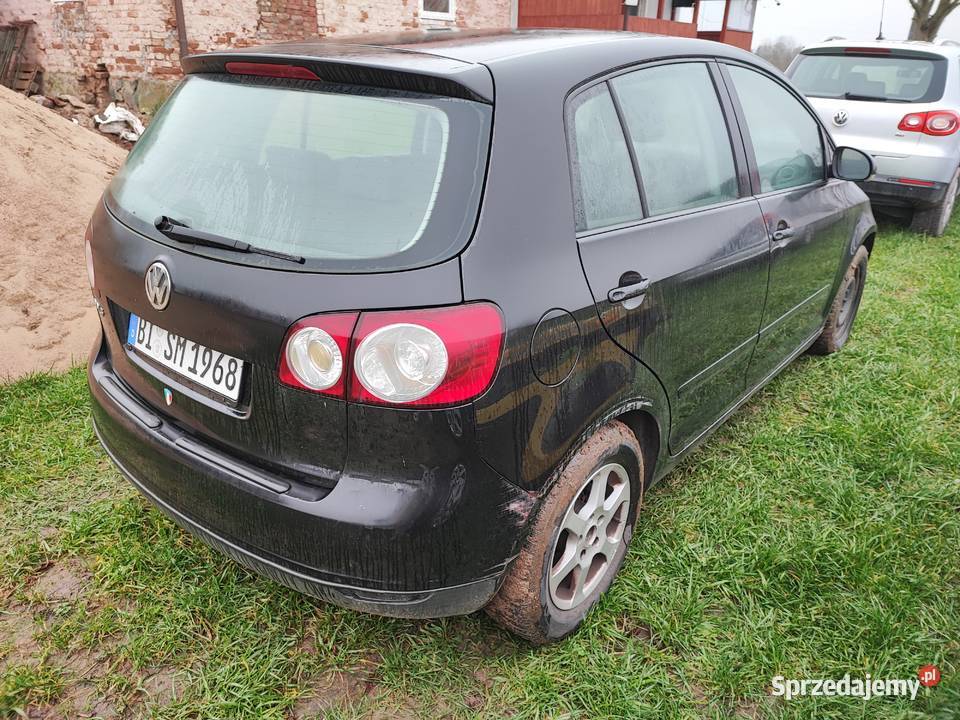 Golf 5 plus 14 benzyna 2005r Golf Plus Lidzbark Warmiński