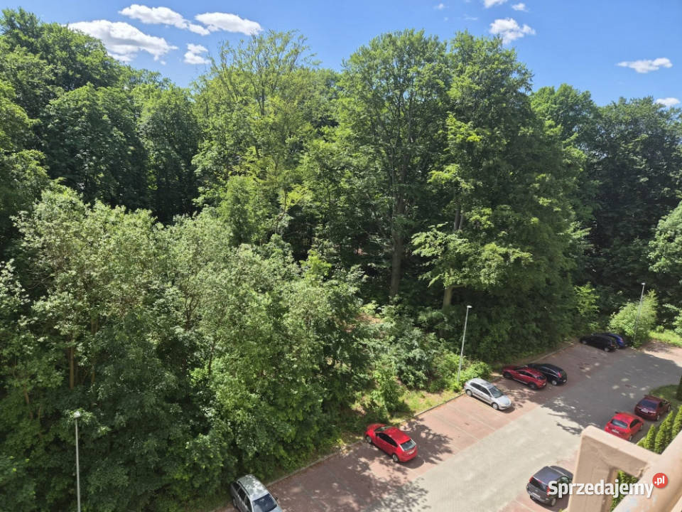 Mieszkanie PREMIUM Winda Park Staszica z Salonu śląskie Katowice