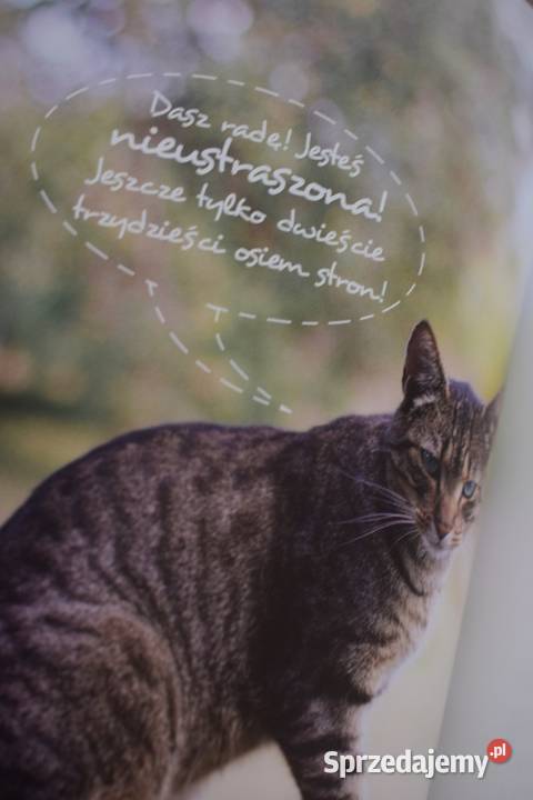 Książka praktycznie nie używana w stanie Chełmno
