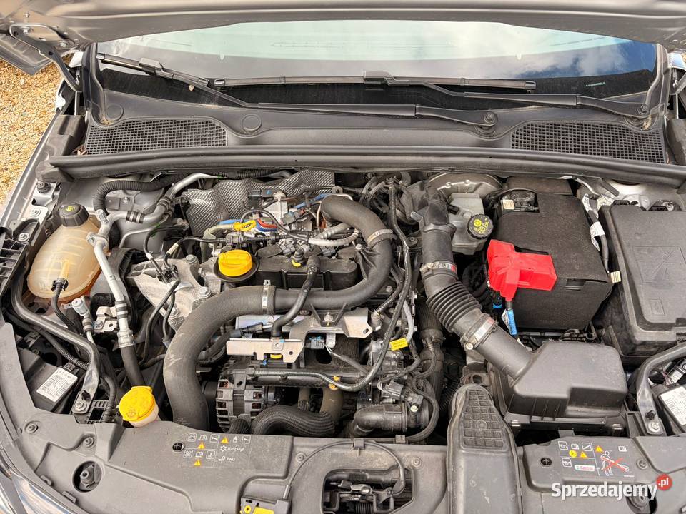 RENAULT Clio V 10i TCe 90 Business FW659 Pleszew