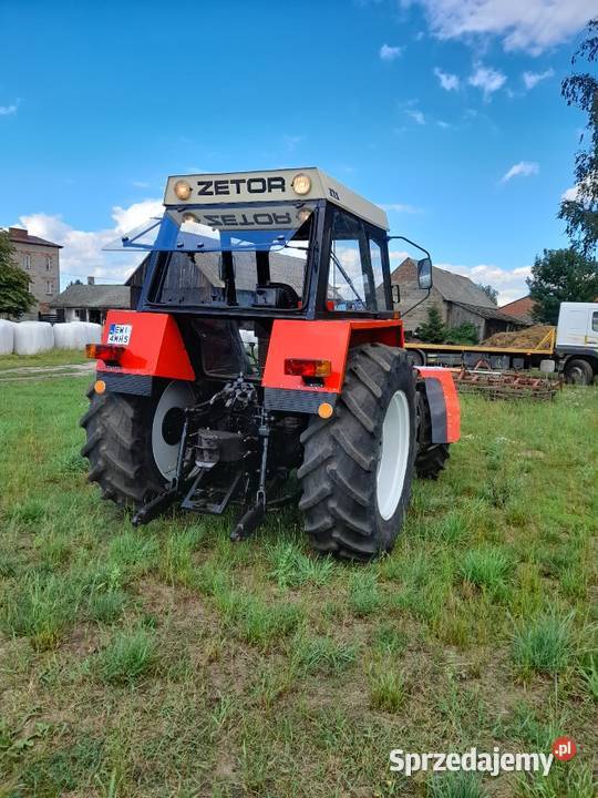 Zetor 8145 ZTS 1987 Złoczew