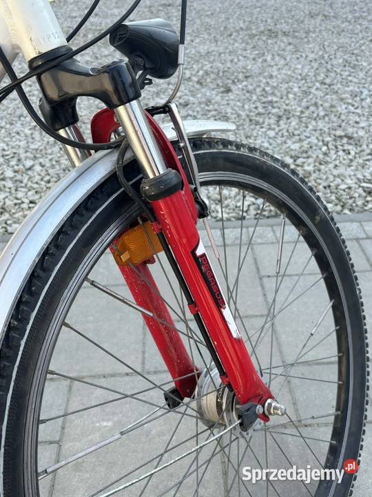 Rower damski Pegasus Przysieki