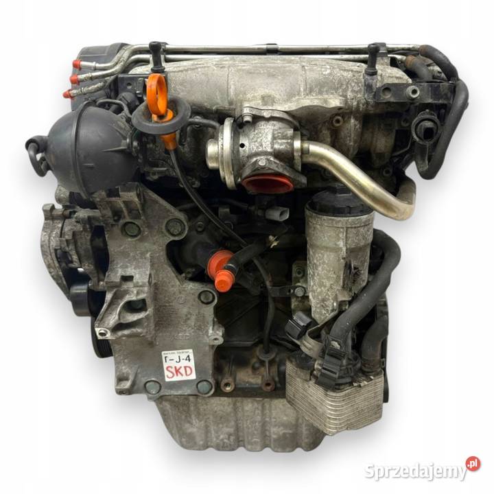 SILNIK BKD VW Golf V Jetta III Touran Skoda Silniki kompletne lubelskie Chełm