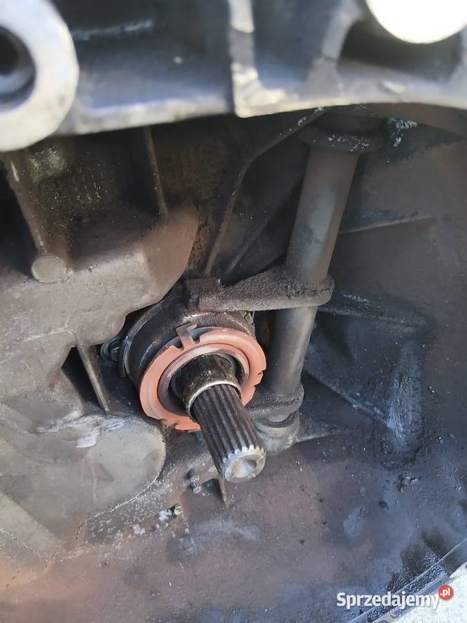 Skrzynia biegów manual 6 biegów Alfa Romeo Szczerbice