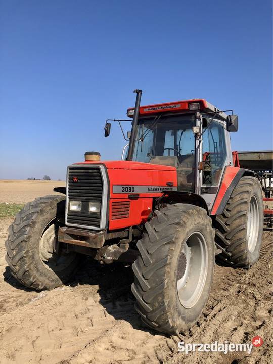 Massey Ferguson 3080 Golub-Dobrzyń