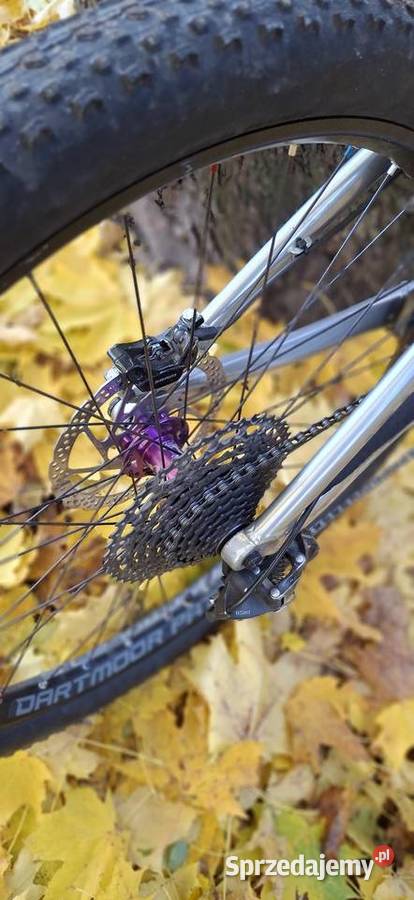 Dartmoot hornet pro podlaskie Białystok