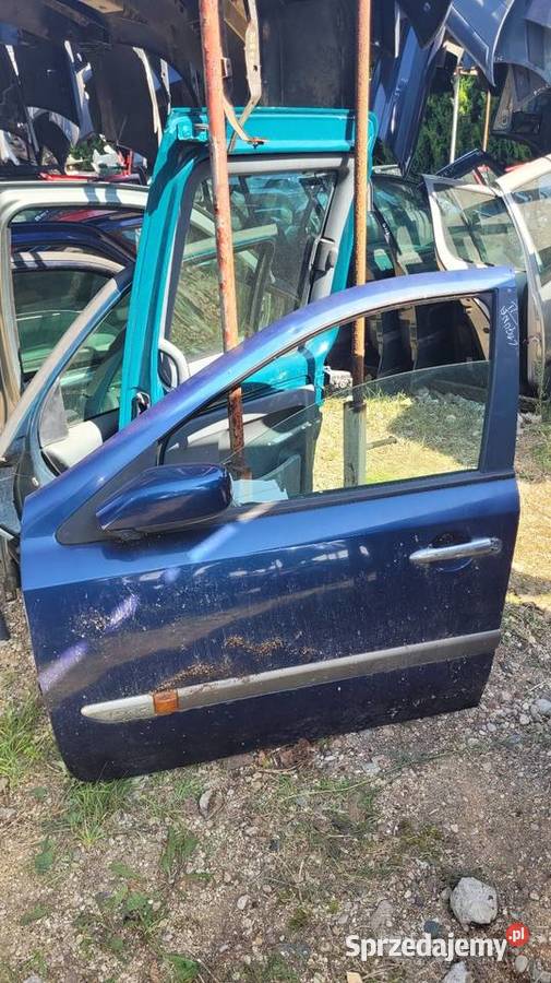 Drzwi Renault Laguna II Łagów