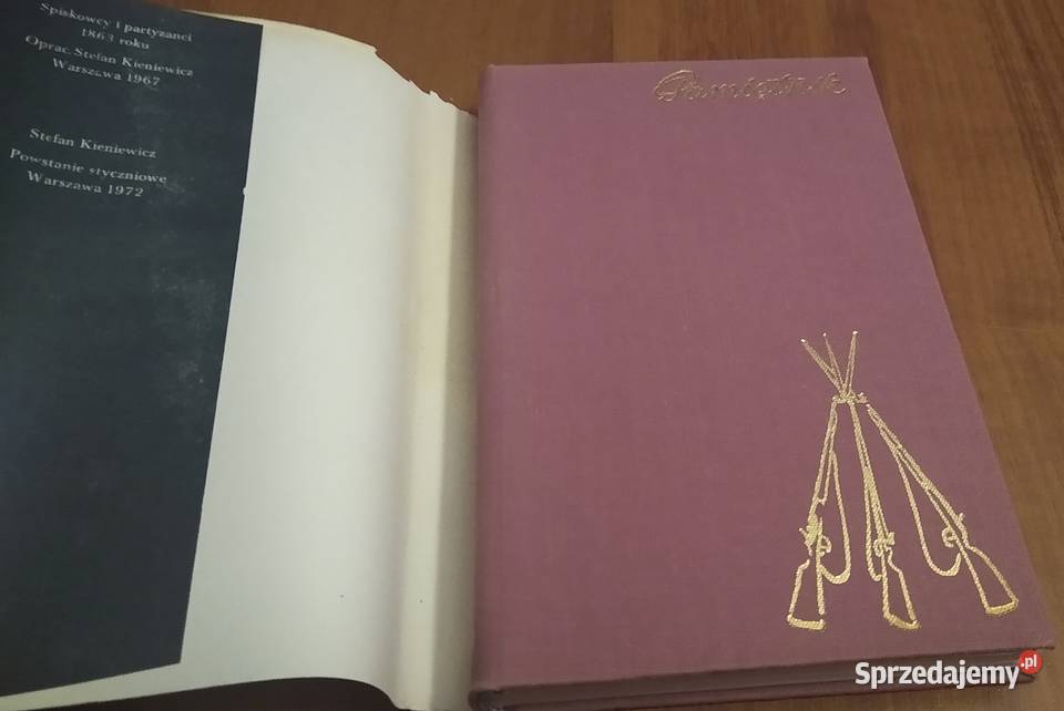 Pamiętnik z lat 18621864 Julian Łukaszewski historia, archeologia