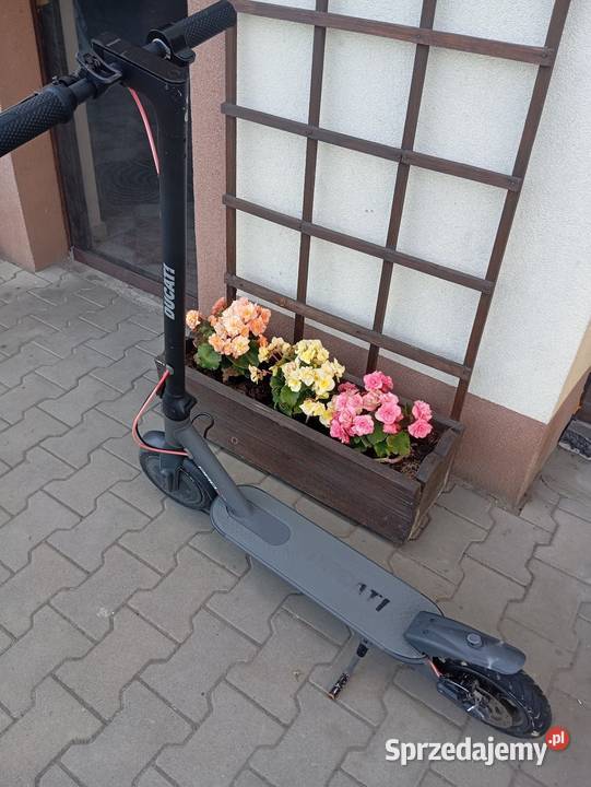 Hulajnoga Elektryczna Ducati pro 1 Evo