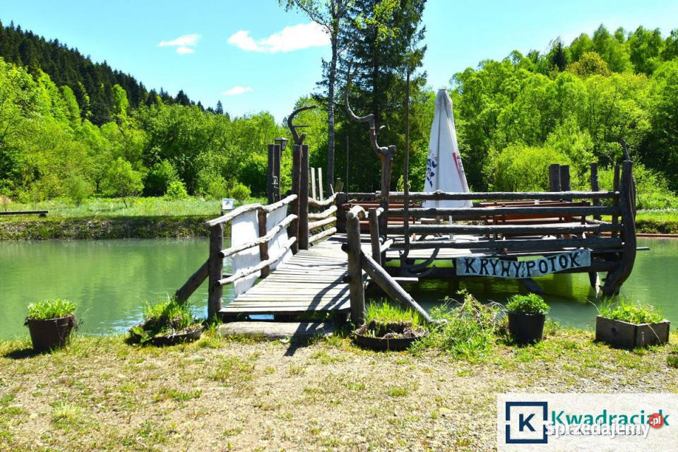 Działka 11659m2 Krzywe podkarpackie