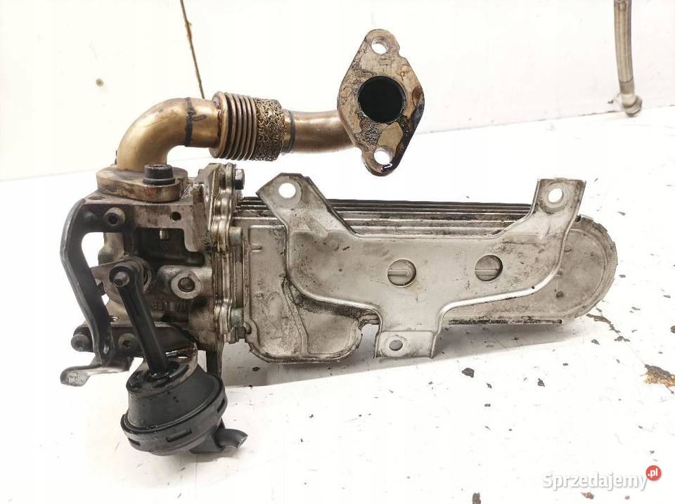 CHŁODNICA SPALIN 038131513AD 19 TDI VW osobowe