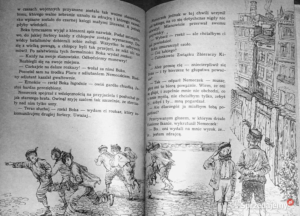 Chłopcy z placu broni Ferenc Molnar miękka lubelskie sprzedam