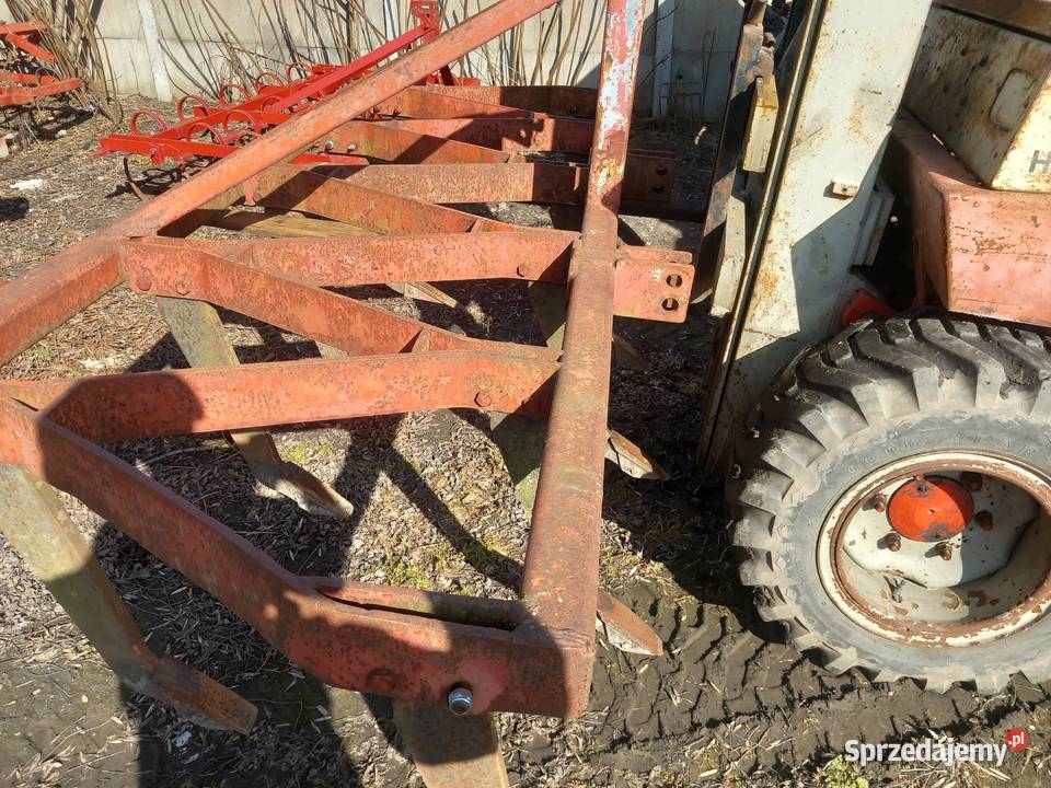 Bezorkowiec głębosz