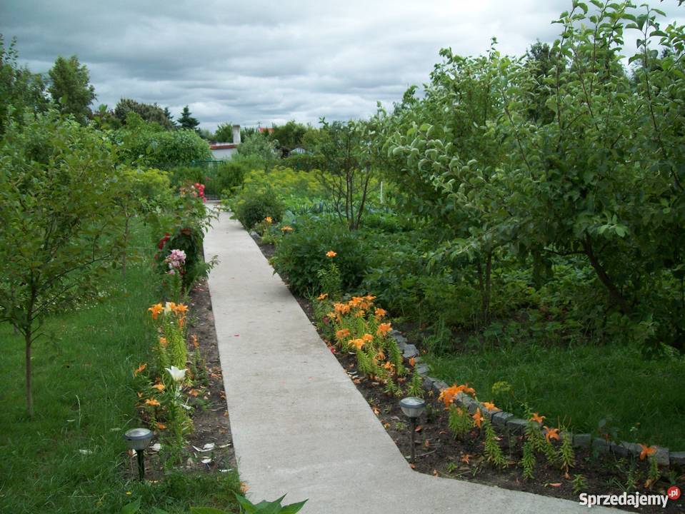 Działka rekreacyjna morzem Grunty i działki