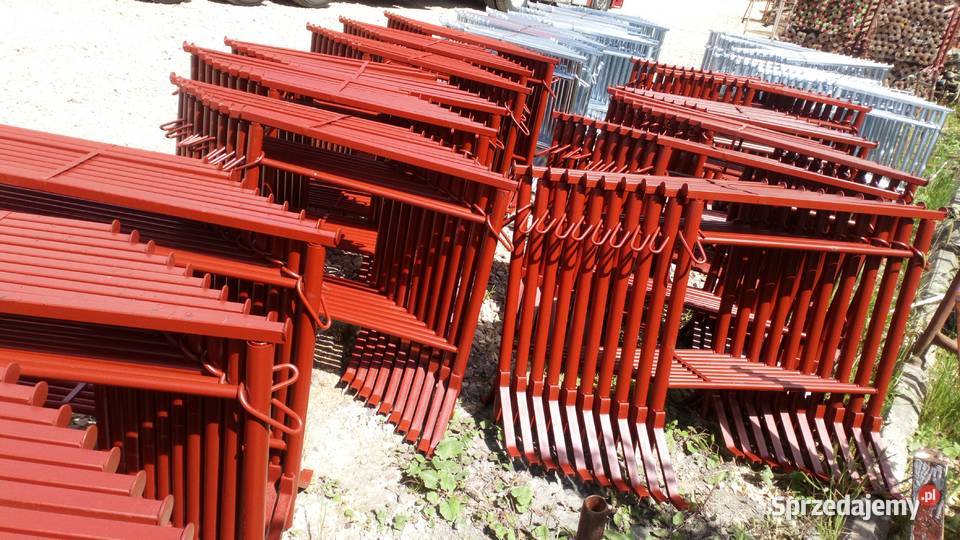 Kozioł budowlany Kobyłka malarska Koziołek opolskie Opole