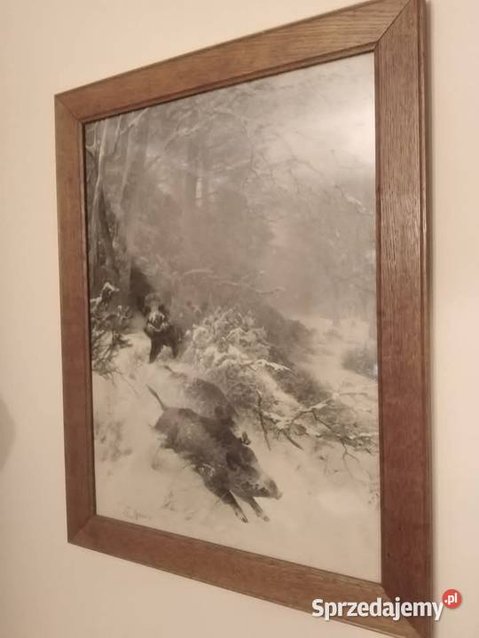 Obraz z Historią Gorbersdorf Dziki Wałbrzych