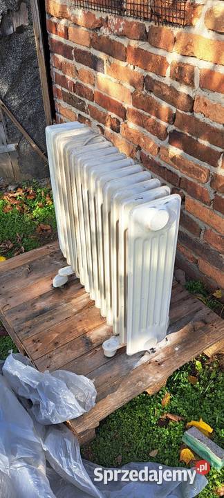 Grzejnik olejowy elektryczny Grzejniki Polkowice