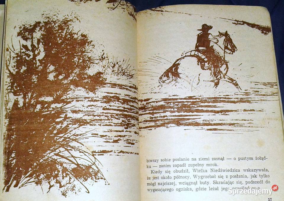 Kowbojskie ostrogi Richard Wormser Rok wydania 1970 Chełm