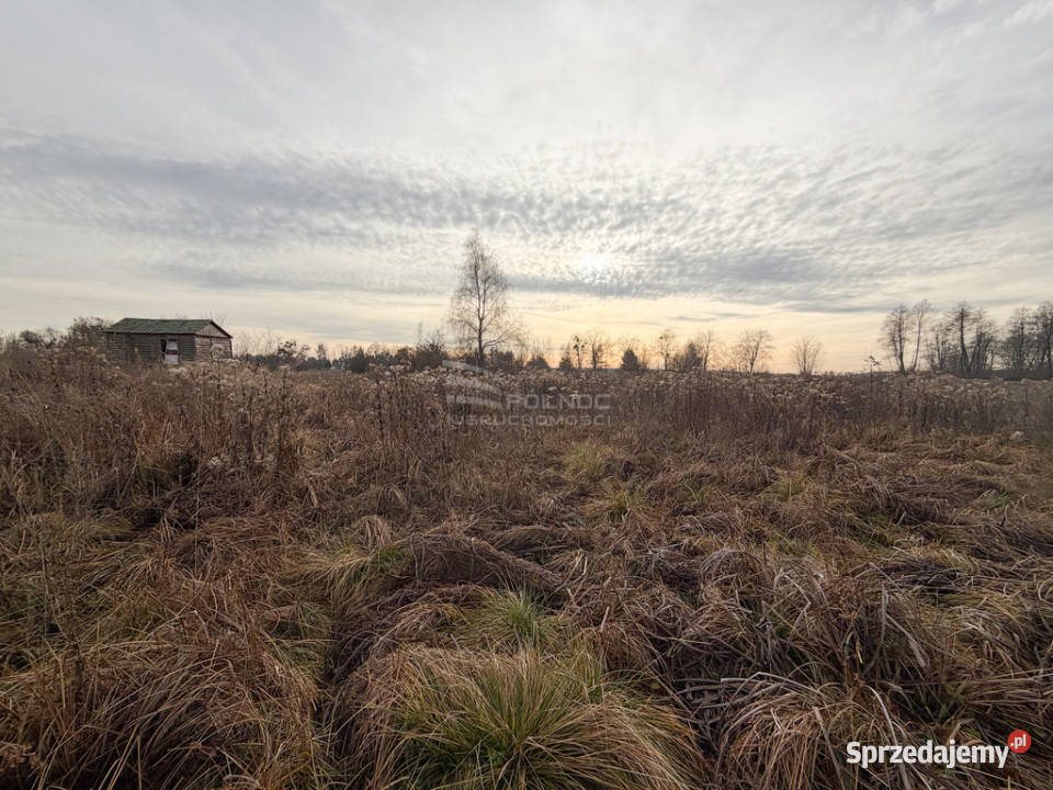 Działka rolna 084 ha Turka gmina Dorohusk Sprzedaż Sprzedaż sprzedam
