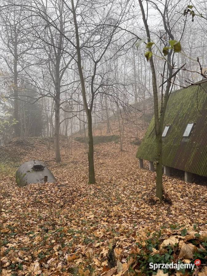 Na sprzedaż wyjątkowa działka 194 ha z domkiem Stoszowice