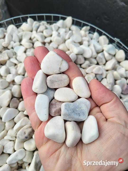 Granit Vanga 1622 mm Kamień ogrodowy dekoracyjny Mogielnica