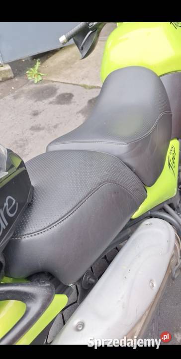 Triumph Tiger 955 i 2002 95 motor dużych 2 m Rok produkcji 2002 Poznań sprzedam