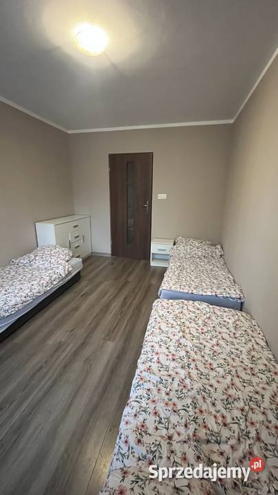 Wynajem mieszkania Szczytnica Mieszkania