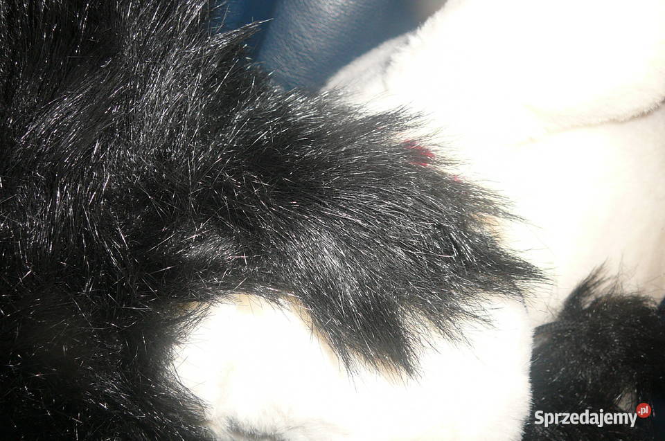 Czapka czarna futrzana uszatka Wrocław