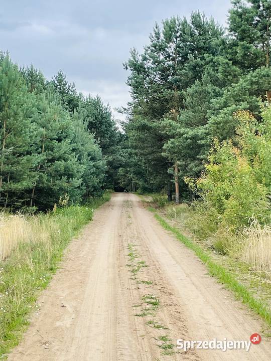 Działka rolnobudowlna 157ha każdego ranczo