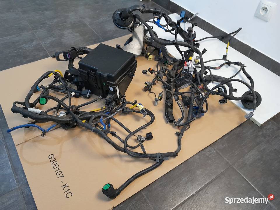 KPLWIAZKA KOMORY SILNIKA HYUNDAI TUCSON III 16 Skierniewice sprzedam