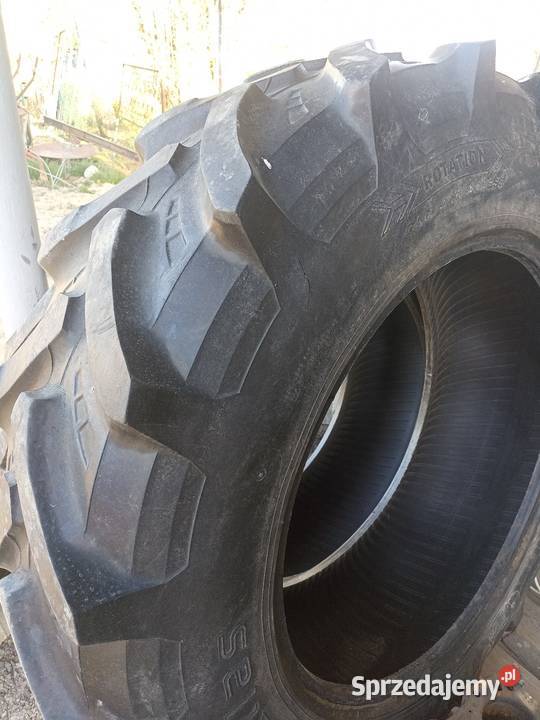 Opony petlas 34585 r28 Pozostałe Smoryń