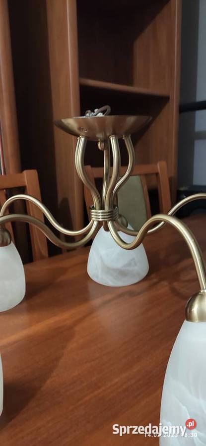 Lampa sufitowa Alfa Adel Patin Ełk