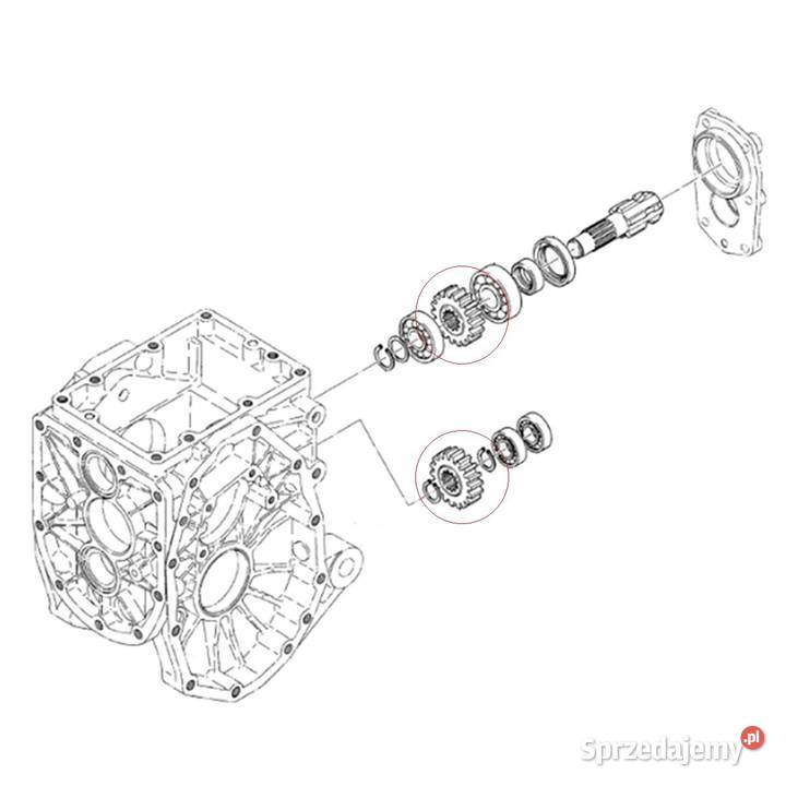 Zębatka 13T19T Iseki 3015 TU315 TU1400 TU1401 sprzedam