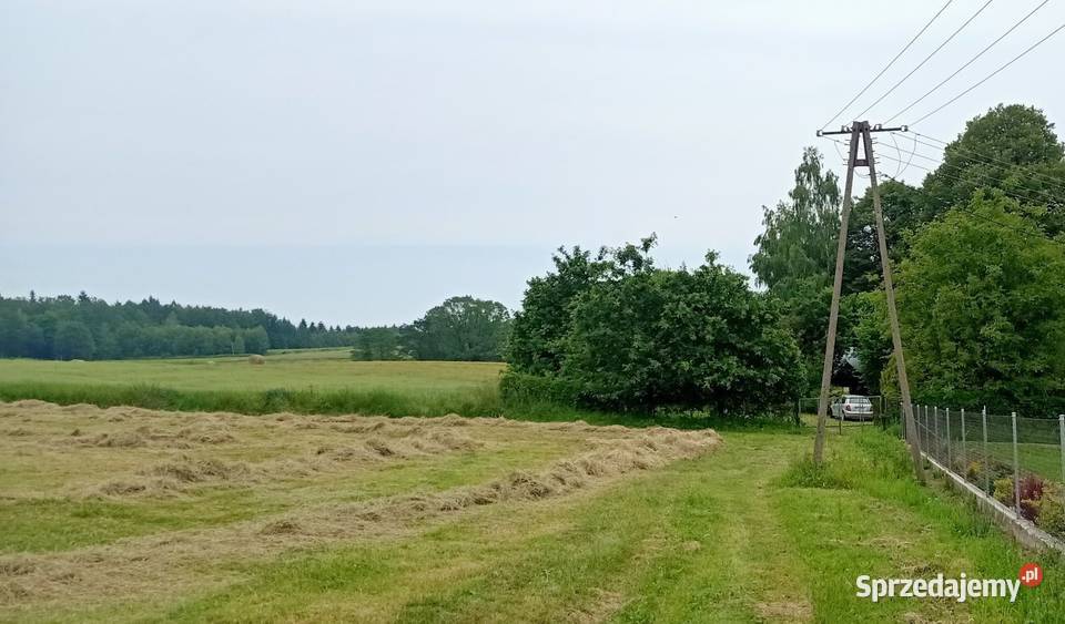 sprzedam Szerzyny