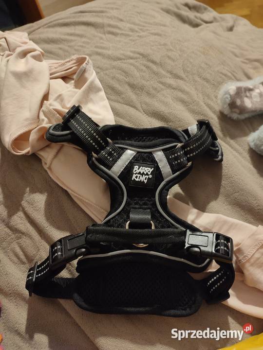 Wyprawka szczeniaka dużejśredniej rasy zachodniopomorskie Goleniów