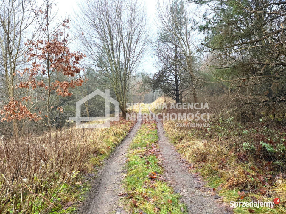 Grunt sprzedam Brodnica Górna 53227 metrów sprzedam