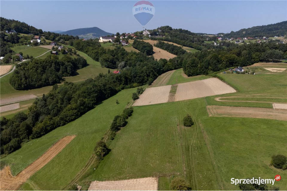 Prywatny las 3331 m2 Twoja przestrzeń w naturze małopolskie Młynne