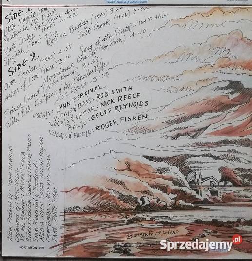 Płyty winylowe z muzyką rozrywkową lat pop Płyty i kasety Wronki