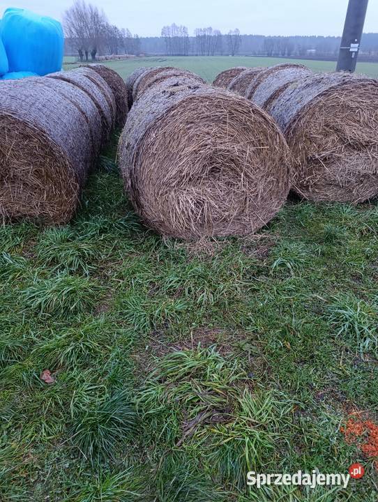 Sprzedam słome wielkopolskie Łazińsk Drugi